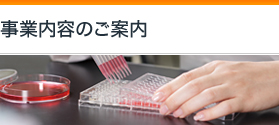 事業内容のご案内